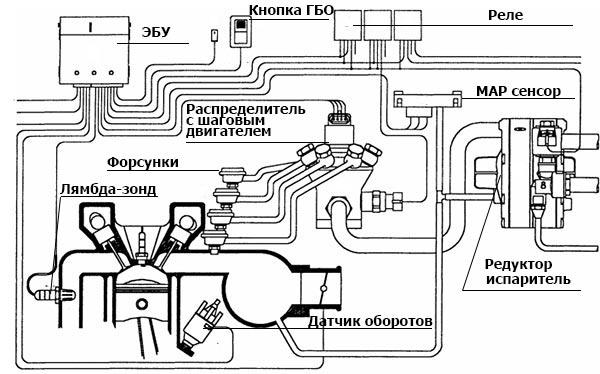 Как отрегулировать гбо 3 поколения на инжекторном моторе газель